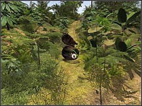 Najpierw zajmę się tym przy kamiennej plaży - 42 Przy murku | Return to Mysterious Island: Powrót na Tajemniczą Wyspę - Return to Mysterious Island: Powrót na Tajemniczą Wyspę - poradnik do gry