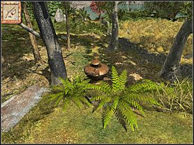 5 - 42 Przy murku | Return to Mysterious Island: Powrót na Tajemniczą Wyspę - Return to Mysterious Island: Powrót na Tajemniczą Wyspę - poradnik do gry