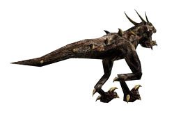 142 - Zadania 134-144 | Rozdział II | Gothic II Noc Kruka - Gothic II: Noc Kruka - poradnik do gry