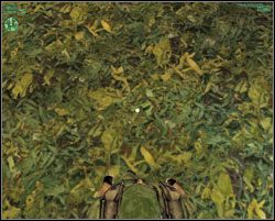 Po pierwszym kontakcie z podłożem ruszamy na poszukiwanie cennej dla tubylców statuetki - Find The Uwa Tribe - Kolumbia - Hitman: Codename 47 - poradnik do gry