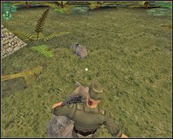 Teraz czas odwrócić jego uwagę - The Jungle God - Kolumbia - Hitman: Codename 47 - poradnik do gry