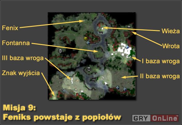 Udajmy się w prawo aż dotrzemy do Feniksa, dostaniemy od niego poboczne zadanie - Misja 9 | Kampania Cesarstwa | Armie Exigo - Armie Exigo - poradnik do gry