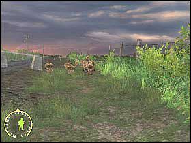 Musisz odczekać aż w okolicy rozrzucone zostaną zasłony dymne, dzięki czemu będziecie mogli sprawniej atakować broniących farmy żołnierzy - Coles Charge (1) | Rozdział 15 | Brothers in Arms Road to Hill 30 - Brothers in Arms: Road to Hill 30 - poradnik do gry