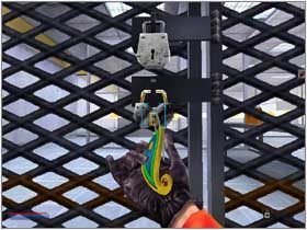 #20 - Scene 3 (1) | The Assignment | The Operative No One Lives Forever - The Operative: No One Lives Forever - poradnik do gry