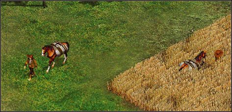 Konie juczne - Transport towarów | Początki rozgrywki | Kozacy II Wojny Napoleońskie - Kozacy II: Wojny Napoleońskie - poradnik do gry