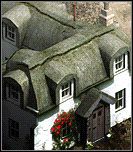 Dom - Wielka Brytania - Budynki | Nacje | Kozacy II Wojny Napoleońskie - Kozacy II: Wojny Napoleońskie - poradnik do gry