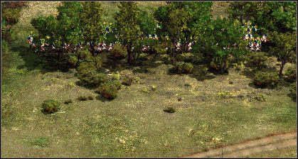 Zasadzka gotowa - Ukształtowanie terenu | Walka | Kozacy II Wojny Napoleońskie - Kozacy II: Wojny Napoleońskie - poradnik do gry