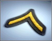 Private - 0 punktów - Bronie ukryte - Stopnie | Bronie | Battlefield 2 - Battlefield 2 - poradnik do gry