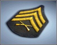 3 - Bronie ukryte - Stopnie | Bronie | Battlefield 2 - Battlefield 2 - poradnik do gry