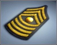 First Sergeant - 150000 punktów * - Bronie ukryte - Stopnie | Bronie | Battlefield 2 - Battlefield 2 - poradnik do gry