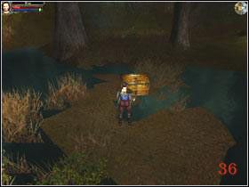 Ten teren to przede wszystkim bagno, które będzie znacznie spowalniać twoje ruchy - Devils Marsh | Na zachód od Fargrove | Dungeon Lords - Dungeon Lords - poradnik do gry