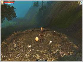 Dom House of the Dragon zleci Ci zadanie przeszukania i znalezienia smoczego jaja na terenach Fire Drakes (2) i dostarczenia go do House of the Tiger w Arindel - House of the Tiger & Dragon | Zadania | Dungeon Lords - Dungeon Lords - poradnik do gry