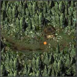 Nagroda: doświadczenie - Pieczarkowy Pagórek (1) | Questy poboczne | Sacred Podziemia - Sacred: Podziemia - poradnik do gry