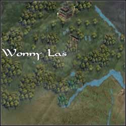 Zadanie: Zabić szpiega Anducara - Wonny Las | Questy poboczne | Sacred Podziemia - Sacred: Podziemia - poradnik do gry