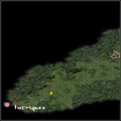 Nagroda: złoto - Wonny Las | Questy poboczne | Sacred Podziemia - Sacred: Podziemia - poradnik do gry