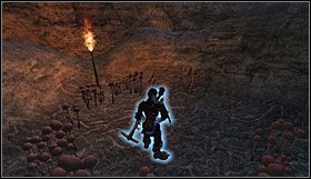 Klasycznie - krąg z kwiatków, w południowo-zachodniej części mapki - Srebrne klucze w Fable Zapomniane Opowieści | Sekrety - Fable: Zapomniane Opowieści - poradnik do gry
