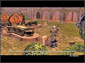 1 - The Tear of Avo | Brązowe questy w Fable Zapomniane Opowieści - Fable: Zapomniane Opowieści - poradnik do gry