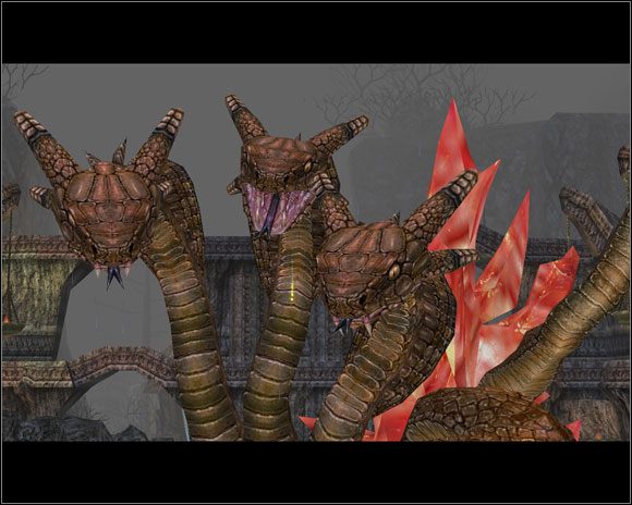 Uśmiech! - Akt 1 - Zadania główne (4) | Zadania | Dungeon Siege II - Dungeon Siege II - poradnik do gry