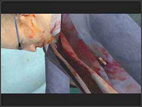 1 - INVESTIGATION Docs Diner cz.2 | Fahrenheit - Fahrenheit - poradnik do gry