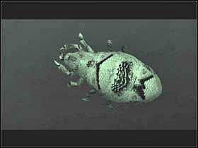 7 - FACE OFF Bank Naser & Jones | Fahrenheit - Fahrenheit - poradnik do gry