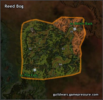 01 Entrance to Ettins Back - Reed Bog | Maguuma Jungle | Guild Wars Prophecies - Guild Wars: Prophecies - poradnik do gry