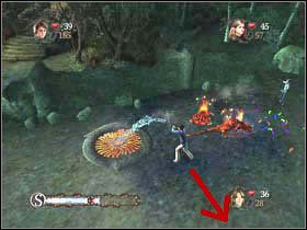 Teraz musisz pokonać salamandry i ugasić salamandrowy ogień, z którego się wylegają - Zakazany Las cz.2 | Harry Potter i Czara Ognia - Harry Potter i Czara Ognia - poradnik do gry