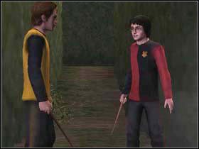 11 - Zadanie 3 Turnieju Trójmagicznego - Labirynt | Harry Potter i Czara Ognia - Harry Potter i Czara Ognia - poradnik do gry