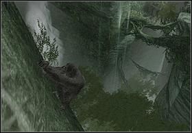 Po wyeliminowaniu zagrożenia podejdź do krawędzi z której skacząc i łapiąc się sterczącego drzewa dostań się na porośniętą ścianę - [Solucja] Kong To The Rescue cz.1 | Peter Jacksons King Kong - Peter Jacksons King Kong - poradnik do gry