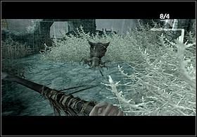 Przechodząc przez łuk skalny trafisz na większą przestrzeń ograniczoną kępami chwastów - [Solucja] Scorpions | Peter Jacksons King Kong - Peter Jacksons King Kong - poradnik do gry