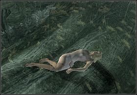 Po zakończeniu walki załącza się krótki filmik z udziałem pary zakochanych - [Solucja] Fight cz.2 | Peter Jacksons King Kong - Peter Jacksons King Kong - poradnik do gry