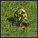 Tak oto wygląda krzak owocowy, na którym - według oficjalnych danych - rośnie mięso - Żywność | Surowce w Age of Empires - Age of Empires - poradnik do gry