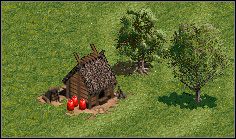 2 - Ogólnorozwojowe | Budynki w Age of Empires - Age of Empires - poradnik do gry