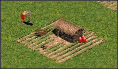 5 - Ogólnorozwojowe | Budynki w Age of Empires - Age of Empires - poradnik do gry