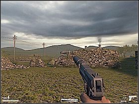 3 - Farma w Irlandii | Kameleon - Kameleon - poradnik do gry