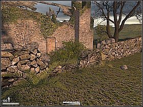 Ponownie przejdź na drugą stronę ścieżki i idź wzdłuż muru z prawej - Farma w Irlandii | Kameleon - Kameleon - poradnik do gry