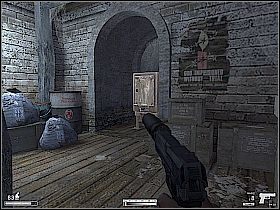 8 - Farma w Irlandii | Kameleon - Kameleon - poradnik do gry