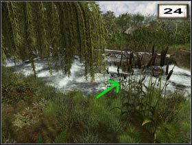 Reed (#46 ) - Przedmioty | Tika | Secret of the Lost Cavern - Secret of the Lost Cavern: Tajemnica Zaginionej Jaskini - poradnik do gry