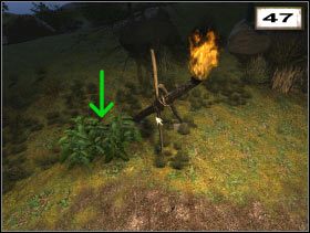 Spearmint (#52 ) - Przedmioty | Biała grota | Secret of the Lost Cavern - Secret of the Lost Cavern: Tajemnica Zaginionej Jaskini - poradnik do gry