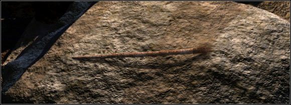 Na drugiej skale przygotowywać będziemy paletę - Opis (1) | Biała grota | Secret of the Lost Cavern - Secret of the Lost Cavern: Tajemnica Zaginionej Jaskini - poradnik do gry