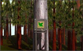 Odszukaj odpowiednie symbole (liścia, węża i żuka) - STONESHIP AGE cz.1 | Myst - Myst - poradnik do gry