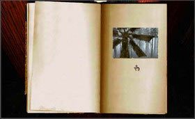 Po chwili zobaczysz kolejną księgę. Dotknij jej, a znajdziesz się w Channelwood Age. - CHANNELWOOD AGE cz.1 | Myst - Myst - poradnik do gry