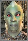 Mroczne elfy - Oblivion: Wszystkie rasy - The Elder Scrolls IV: Oblivion - poradnik do gry