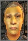 Wysokie elfy - Oblivion: Wszystkie rasy - The Elder Scrolls IV: Oblivion - poradnik do gry