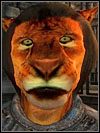 Khajiitowie - Oblivion: Wszystkie rasy - The Elder Scrolls IV: Oblivion - poradnik do gry