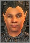 Leśne elfy - Oblivion: Wszystkie rasy - The Elder Scrolls IV: Oblivion - poradnik do gry