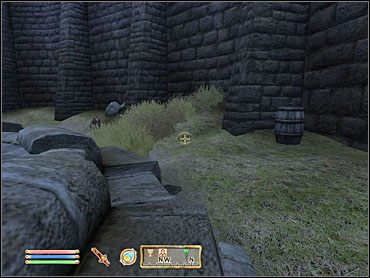 Przejdź przez niezbyt apetycznie udekorowane pomieszczenia do ołtarzyka - Oblivion: Following a Lead - The Elder Scrolls IV: Oblivion - poradnik do gry