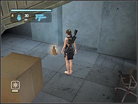 Także i ten obiekt został ukryty w pomieszczeniu z motocyklem - Etap 3 Japan - Meeting with Takamoto (1) | Sekrety | Tomb Raider Legenda - Tomb Raider: Legenda - poradnik do gry