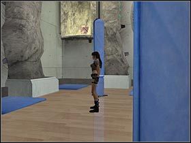 Bronze - 11 - #1 - Po raz kolejny będziesz musiał skorzystać z harpuna, tak aby obrócić drążkem z półkołem - Croft Manor (2) | Bonus | Tomb Raider Legenda - Tomb Raider: Legenda - poradnik do gry