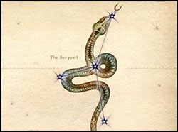 The Serpent - Oblivion: Znaki - The Elder Scrolls IV: Oblivion - poradnik do gry