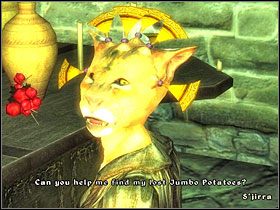 2 - Oblivion: Inne (3) - Misje - The Elder Scrolls IV: Oblivion - poradnik do gry